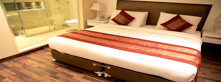 84/Hotel Picasso Prive - New Delhi 10.jpg